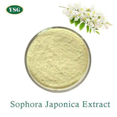 Ekstrakt z Sophora Japonica